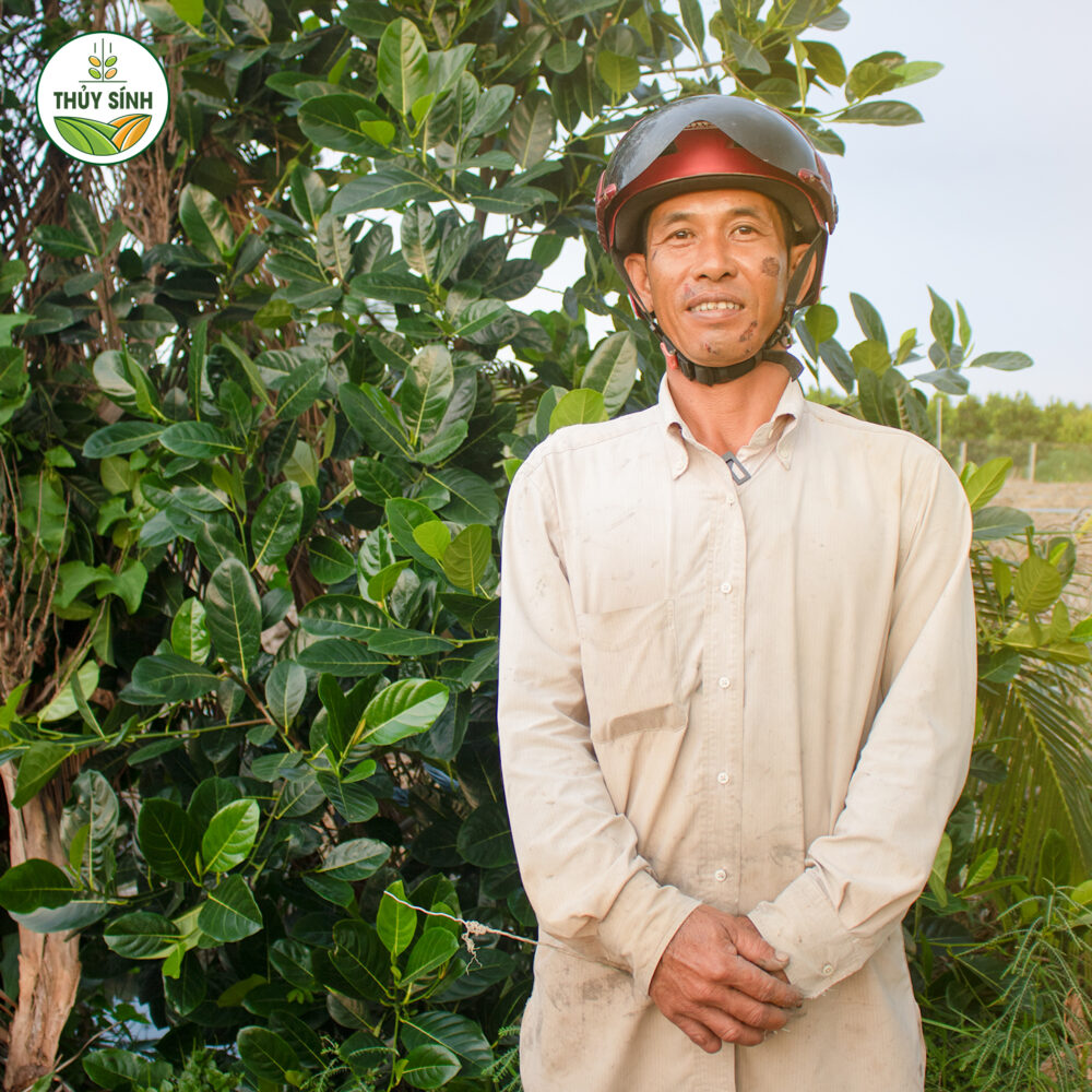 Anh Sáng - Cây mít