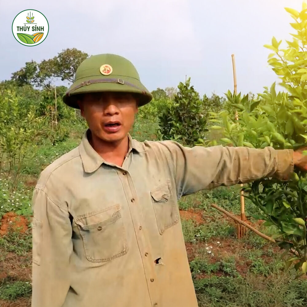 ANH TRIỆU SẦU RIÊNG