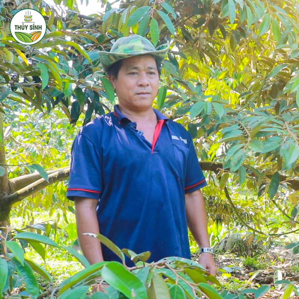 Gia đình chị Lan - Cây sầu riêng