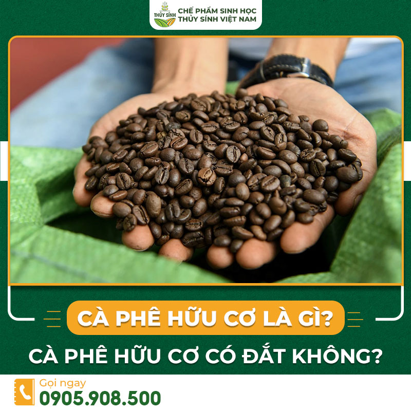 cà phê hữu cơ là gì
