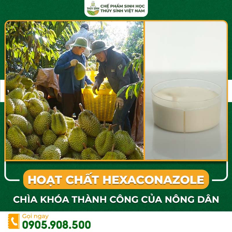 Hoạt chất Hexaconazole