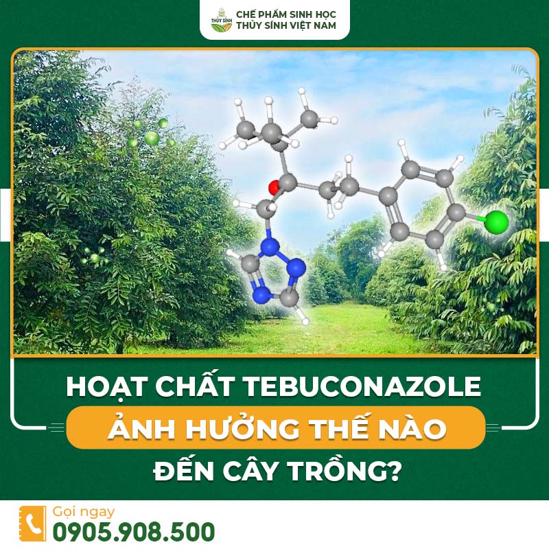 Hoạt chất Tebuconazole