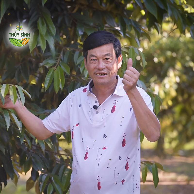 Đồng Nai - Anh Bằng - Cây sầu riêng