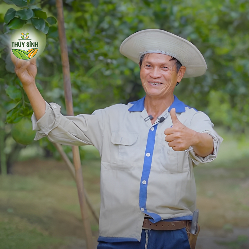 Lâm Đồng - Anh Cầu - Cây Bưởi