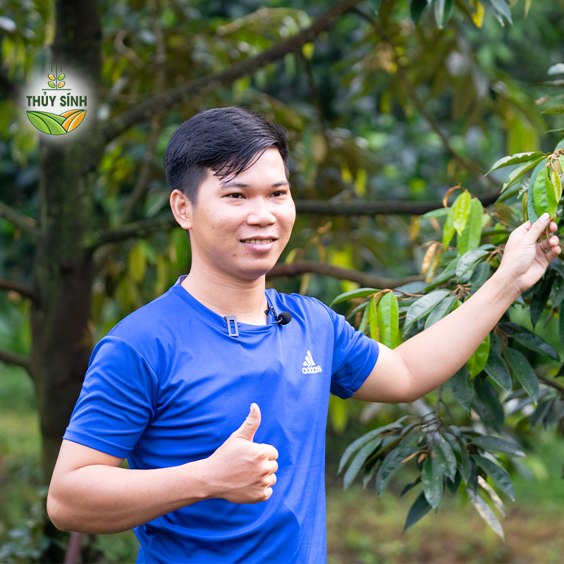 Đồng Nai - Anh Dinh - Cây sầu riêng