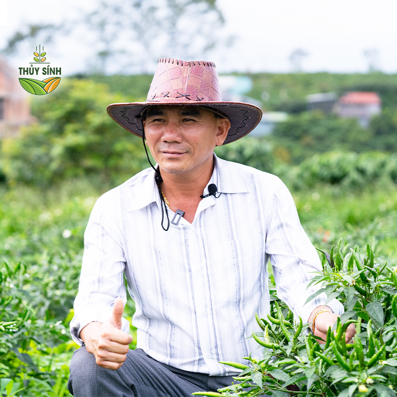 Anh Hùng - Cây ớt