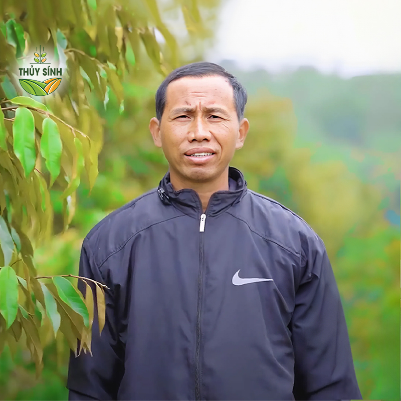 Anh Khang trồng sầu riêng