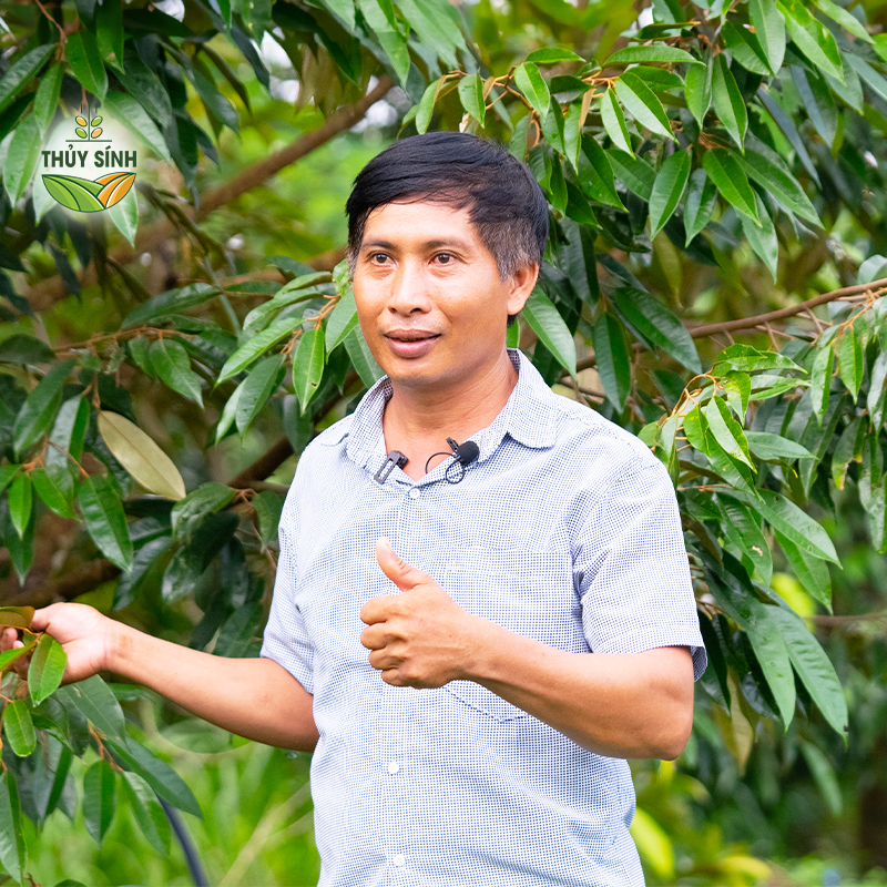 Lâm Đồng - Anh Lượng - Cây sầu riêng