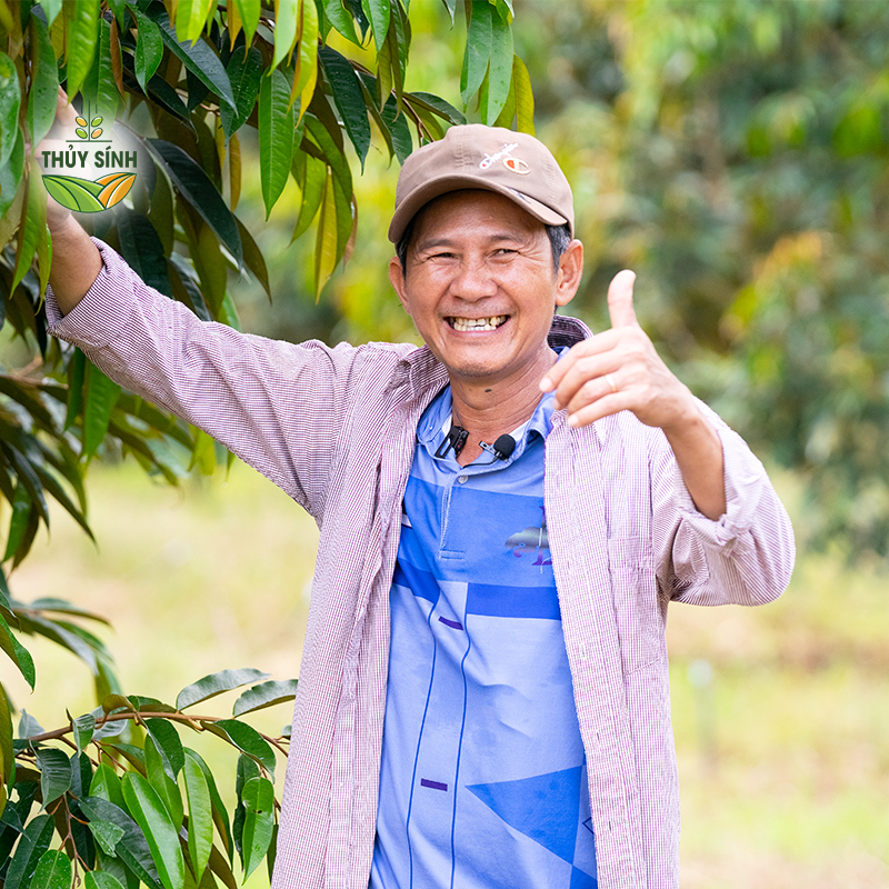 Lâm Đồng - Anh Dần - Cây sầu riêng