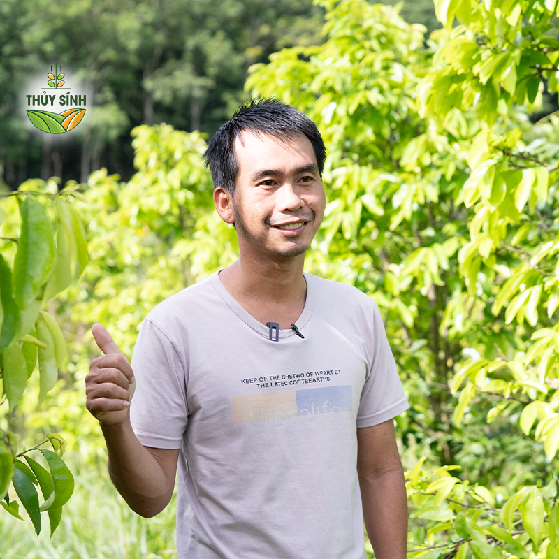 Bình Dương - Anh Nam - Cây mãng cầu