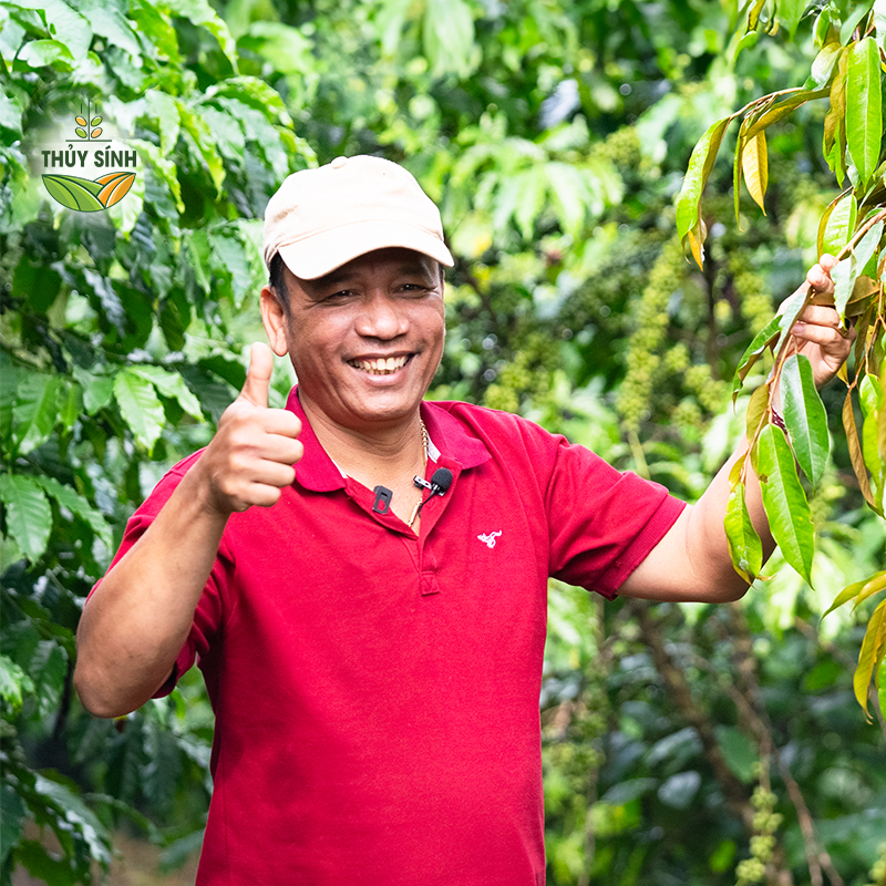 Anh Tài - sầu riêng