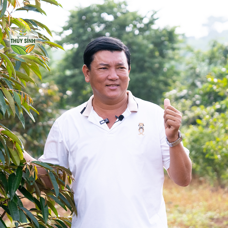 Anh Thái - cây sầu riêng