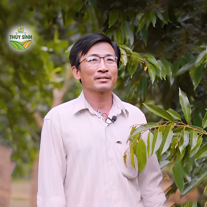 Đồng Nai - Anh Thảo - sầu riêng