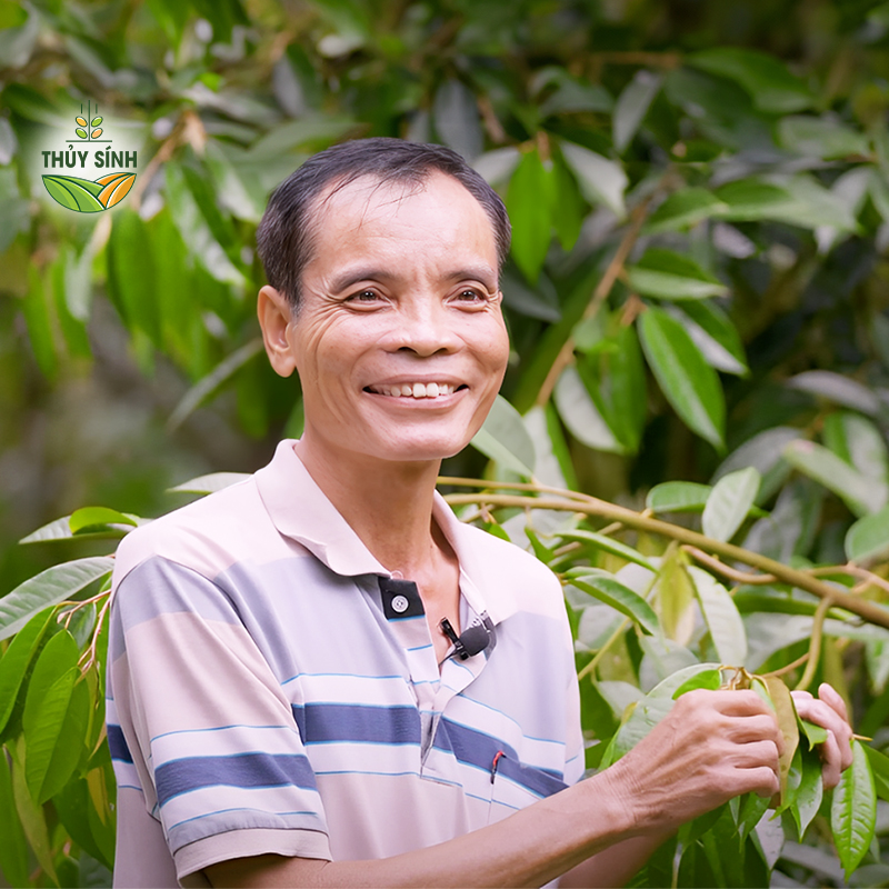Anh Thúng - cây sầu riêng