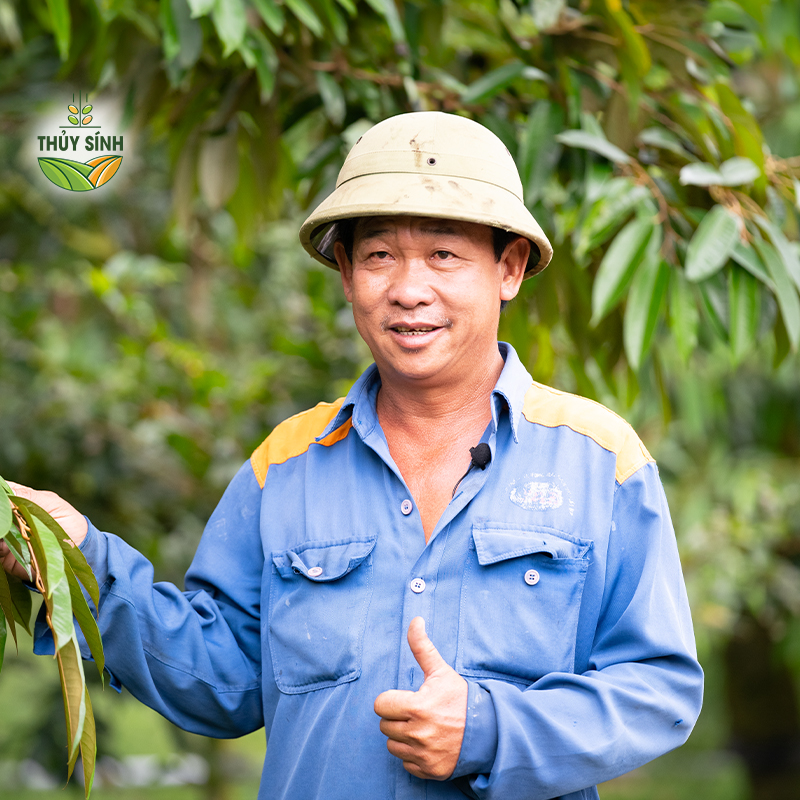 Anh Toàn - cây sầu riêng
