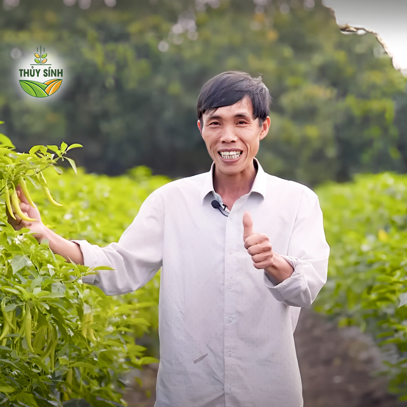 Đồng Nai - Anh Trường - Cây ớt