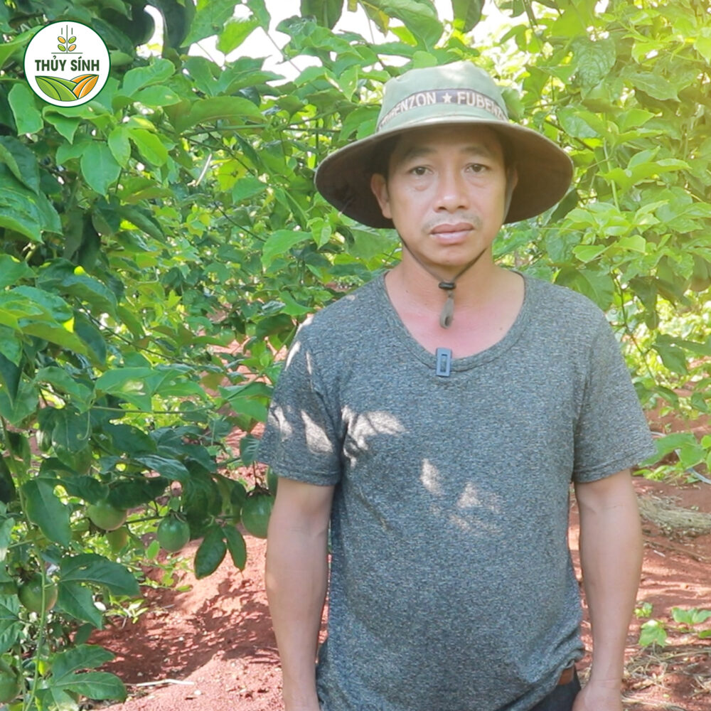 Anh An trồng chanh dây