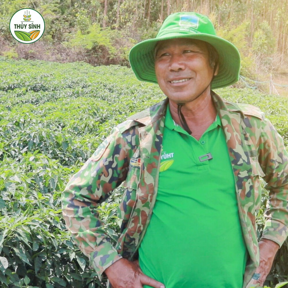 Anh Hải trồng ớt