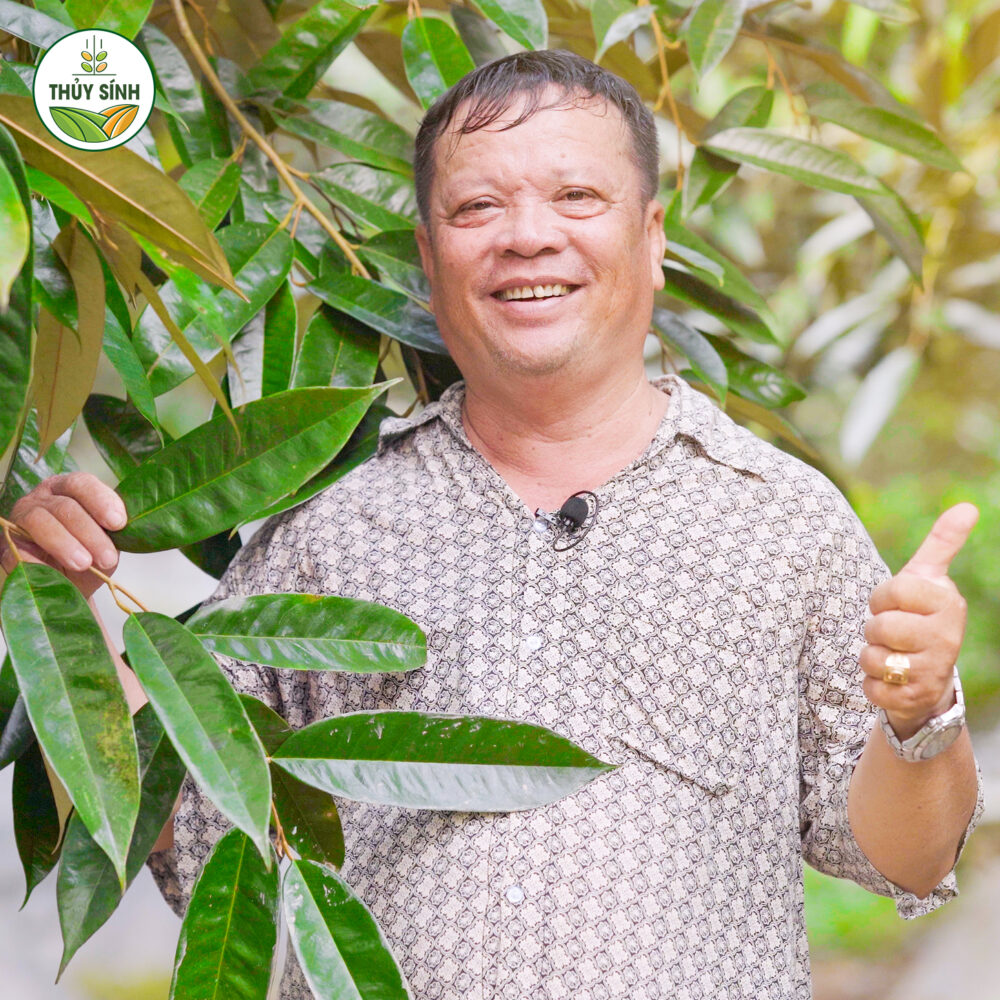 Anh Hải trồng sầu riêng