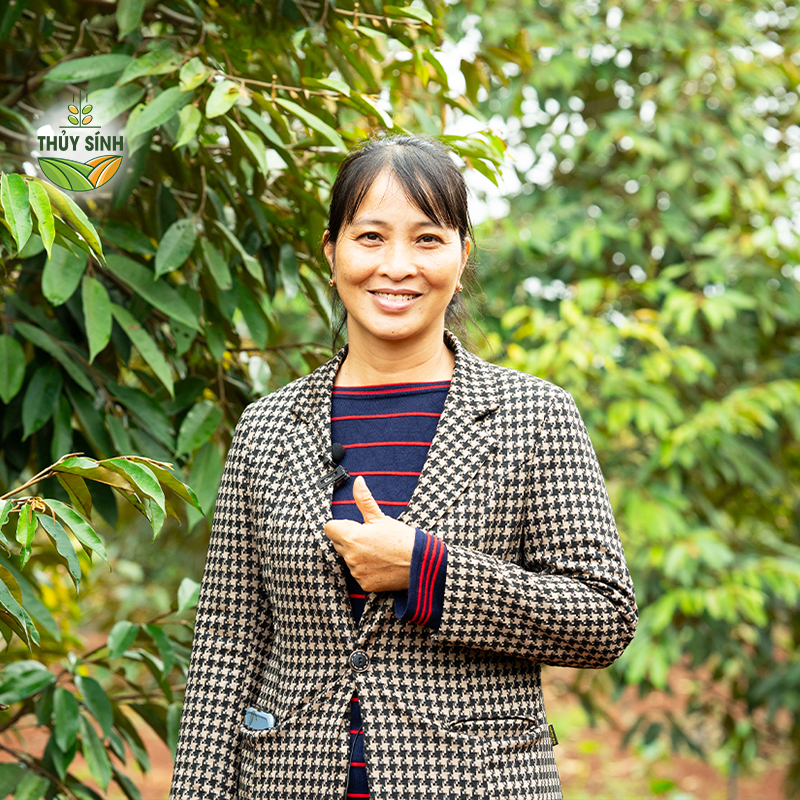 Chị Huế trồng sầu riêng