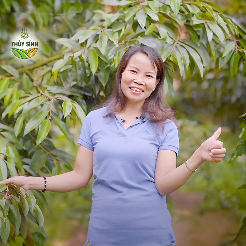 Chị Vân - sầu riêng