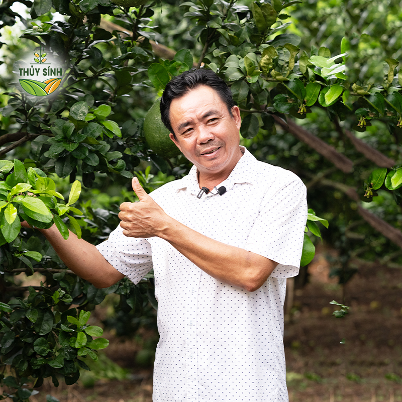 Đồng Nai - Chú Hải - Cây bưởi