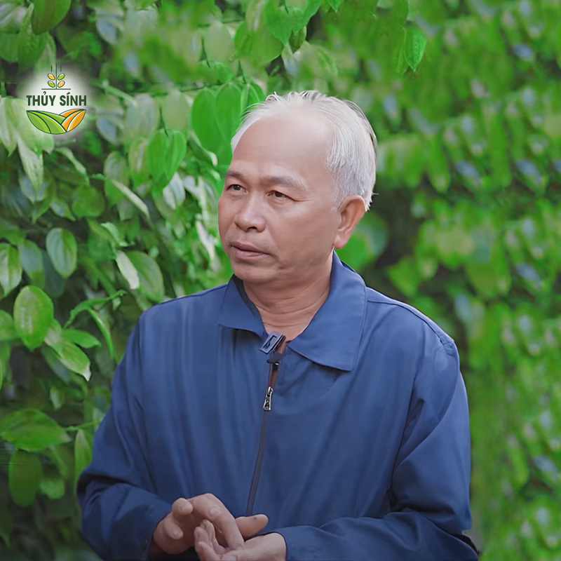 Đắk Nông - Chú Nhiệt - Cây hồ tiêu