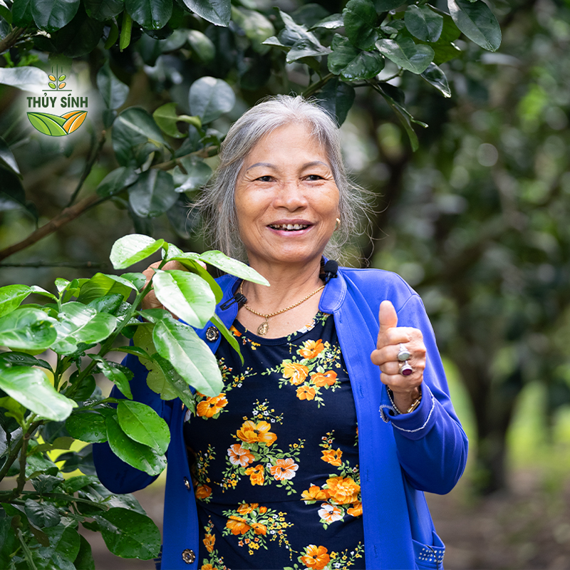 Đồng Nai - Cô Thẩm - Cây Bưởi