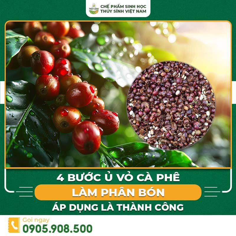 Vỏ cà phê làm phân bón