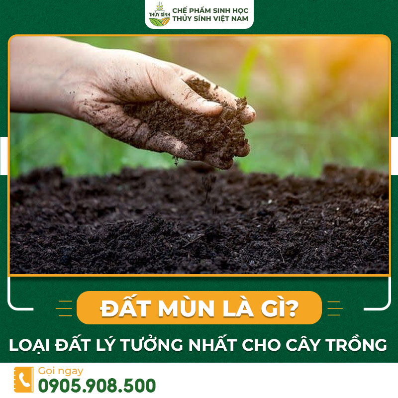 đất mùn là gì