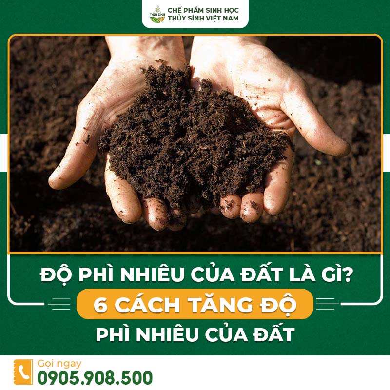 Độ phì nhiêu của đất là gì