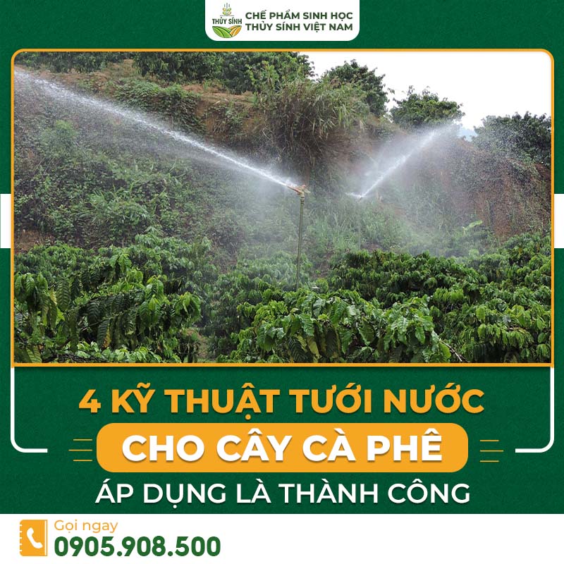 Kỹ thuật tưới nước cho cây cà phê