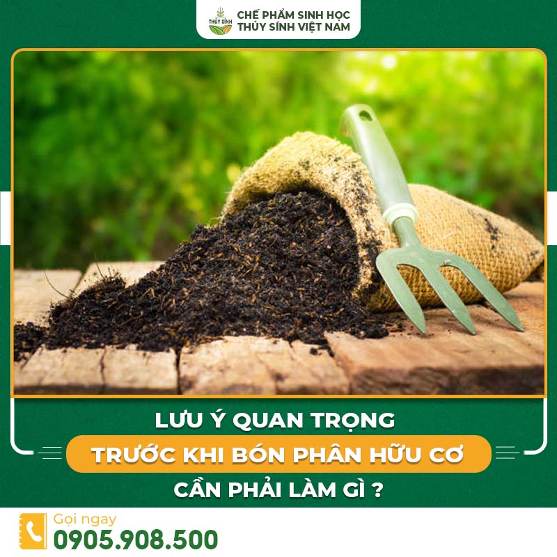 trước khi bón phân hữu cơ cần phải