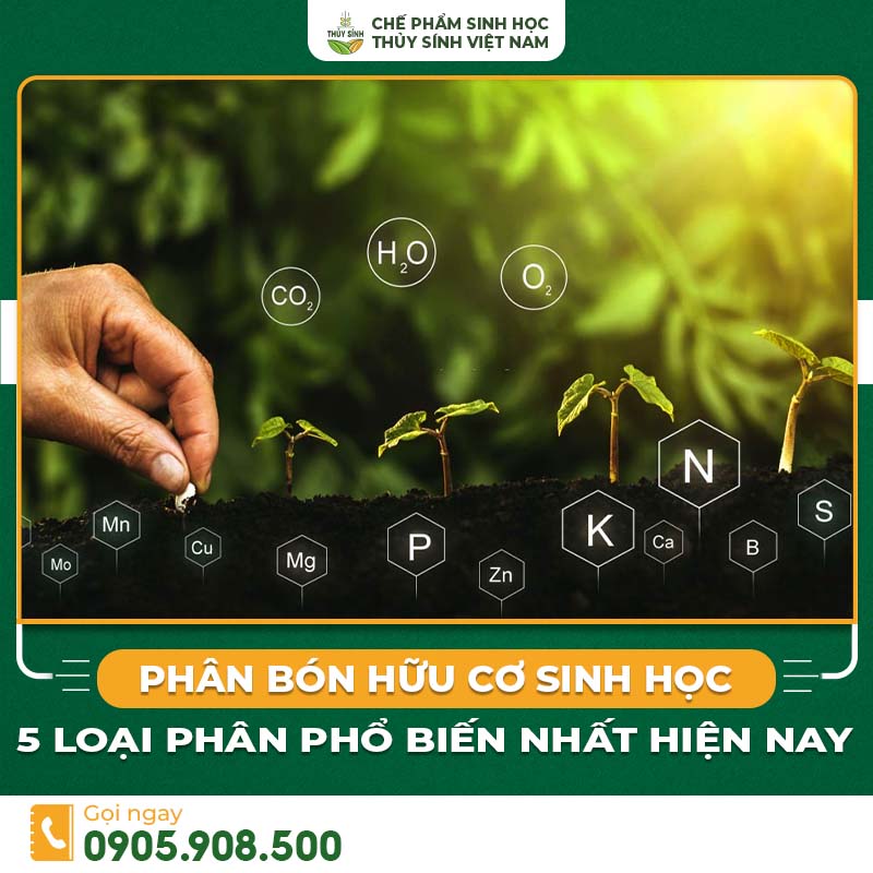 Phân bón hữu cơ sinh học