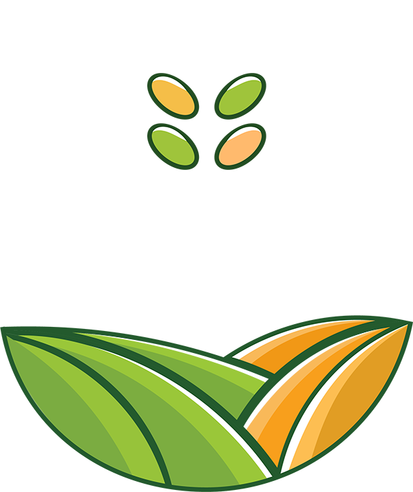 Thủy Sính